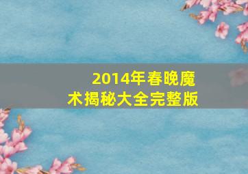 2014年春晚魔术揭秘大全完整版