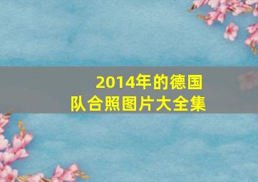 2014年的德国队合照图片大全集