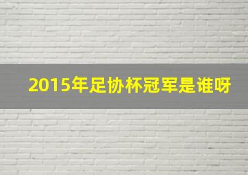 2015年足协杯冠军是谁呀