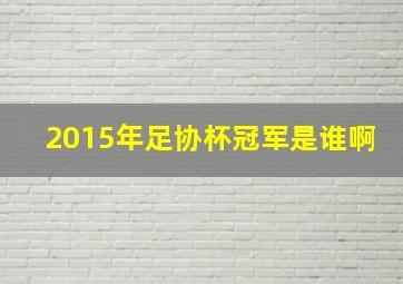 2015年足协杯冠军是谁啊