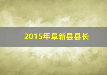 2015年阜新县县长