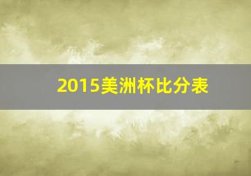 2015美洲杯比分表