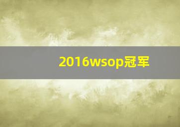 2016wsop冠军