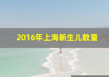 2016年上海新生儿数量