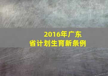 2016年广东省计划生育新条例