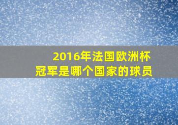 2016年法国欧洲杯冠军是哪个国家的球员