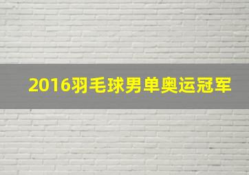 2016羽毛球男单奥运冠军