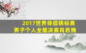 2017世界体操锦标赛男子个人全能决赛肖若腾