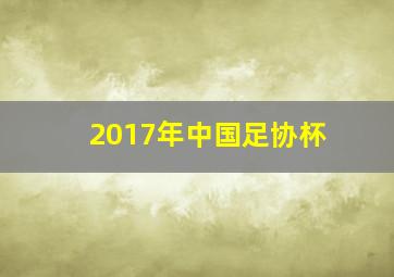 2017年中国足协杯