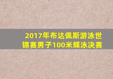 2017年布达佩斯游泳世锦赛男子100米蝶泳决赛