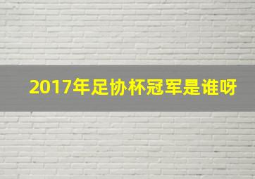 2017年足协杯冠军是谁呀