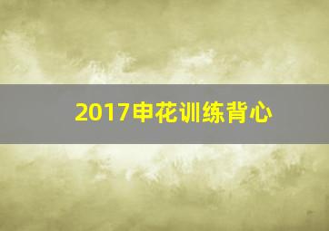 2017申花训练背心