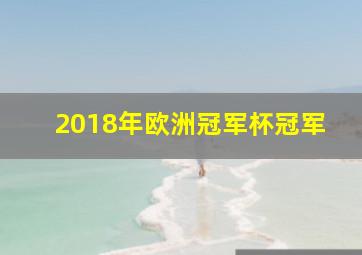 2018年欧洲冠军杯冠军