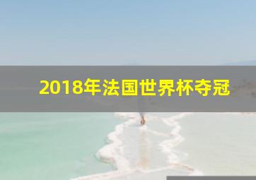 2018年法国世界杯夺冠