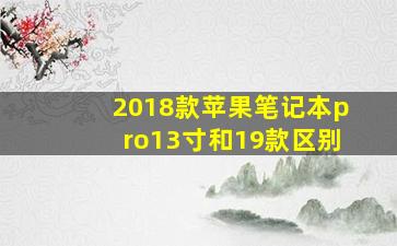 2018款苹果笔记本pro13寸和19款区别