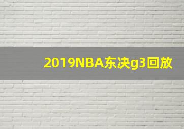 2019NBA东决g3回放