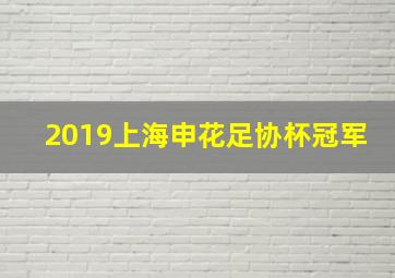 2019上海申花足协杯冠军