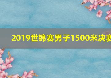 2019世锦赛男子1500米决赛