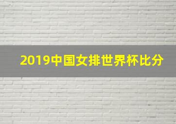 2019中国女排世界杯比分