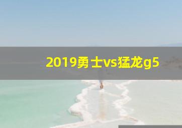 2019勇士vs猛龙g5