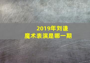 2019年刘谦魔术表演是哪一期