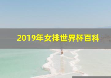 2019年女排世界杯百科