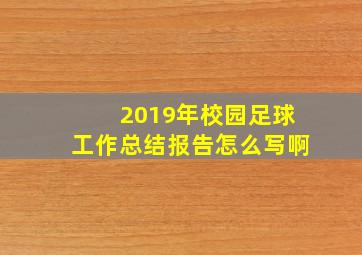 2019年校园足球工作总结报告怎么写啊