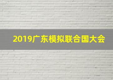 2019广东模拟联合国大会