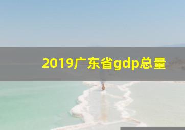 2019广东省gdp总量