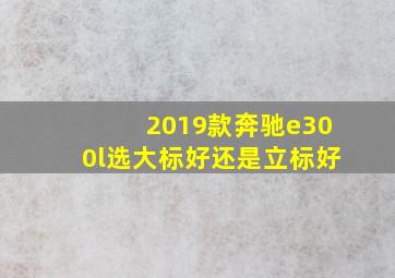 2019款奔驰e300l选大标好还是立标好