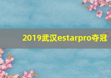 2019武汉estarpro夺冠