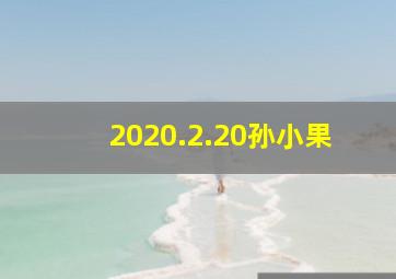 2020.2.20孙小果