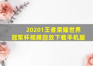 20201王者荣耀世界冠军杯视频回放下载手机版