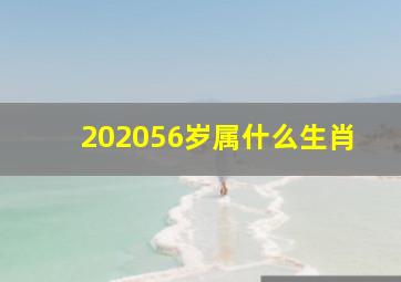 202056岁属什么生肖