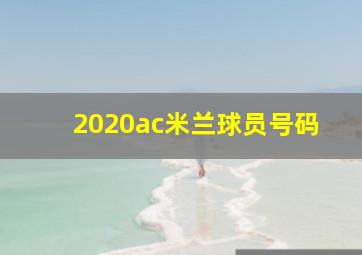 2020ac米兰球员号码