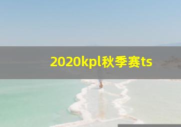 2020kpl秋季赛ts