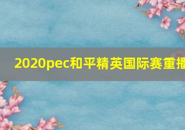 2020pec和平精英国际赛重播