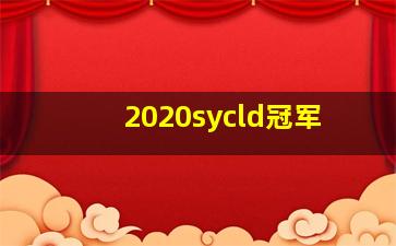 2020sycld冠军