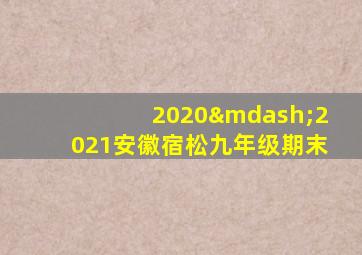 2020—2021安徽宿松九年级期末