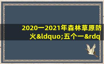 2020一2021年森林草原防火“五个一”之一幅画