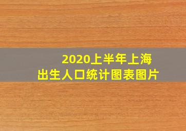 2020上半年上海出生人口统计图表图片