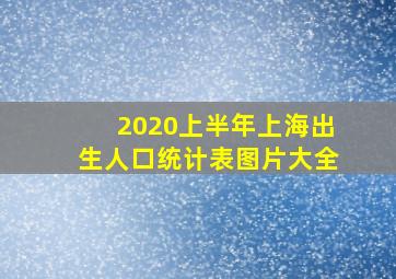 2020上半年上海出生人口统计表图片大全