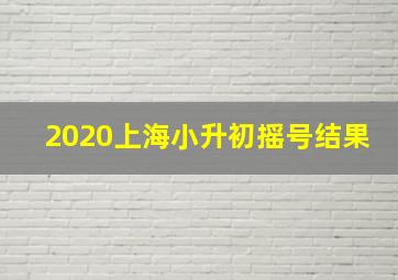 2020上海小升初摇号结果