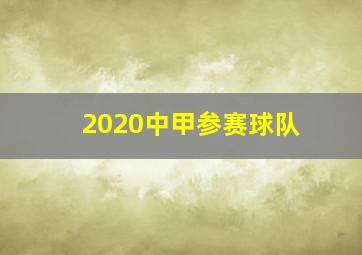 2020中甲参赛球队