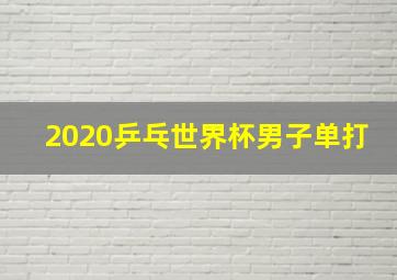 2020乒乓世界杯男子单打