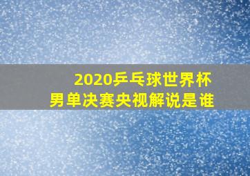 2020乒乓球世界杯男单决赛央视解说是谁