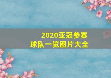 2020亚冠参赛球队一览图片大全