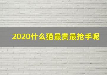 2020什么猫最贵最抢手呢