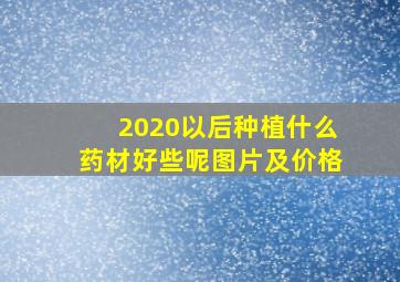 2020以后种植什么药材好些呢图片及价格