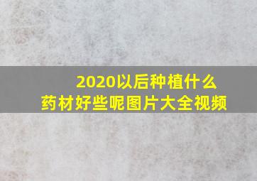 2020以后种植什么药材好些呢图片大全视频